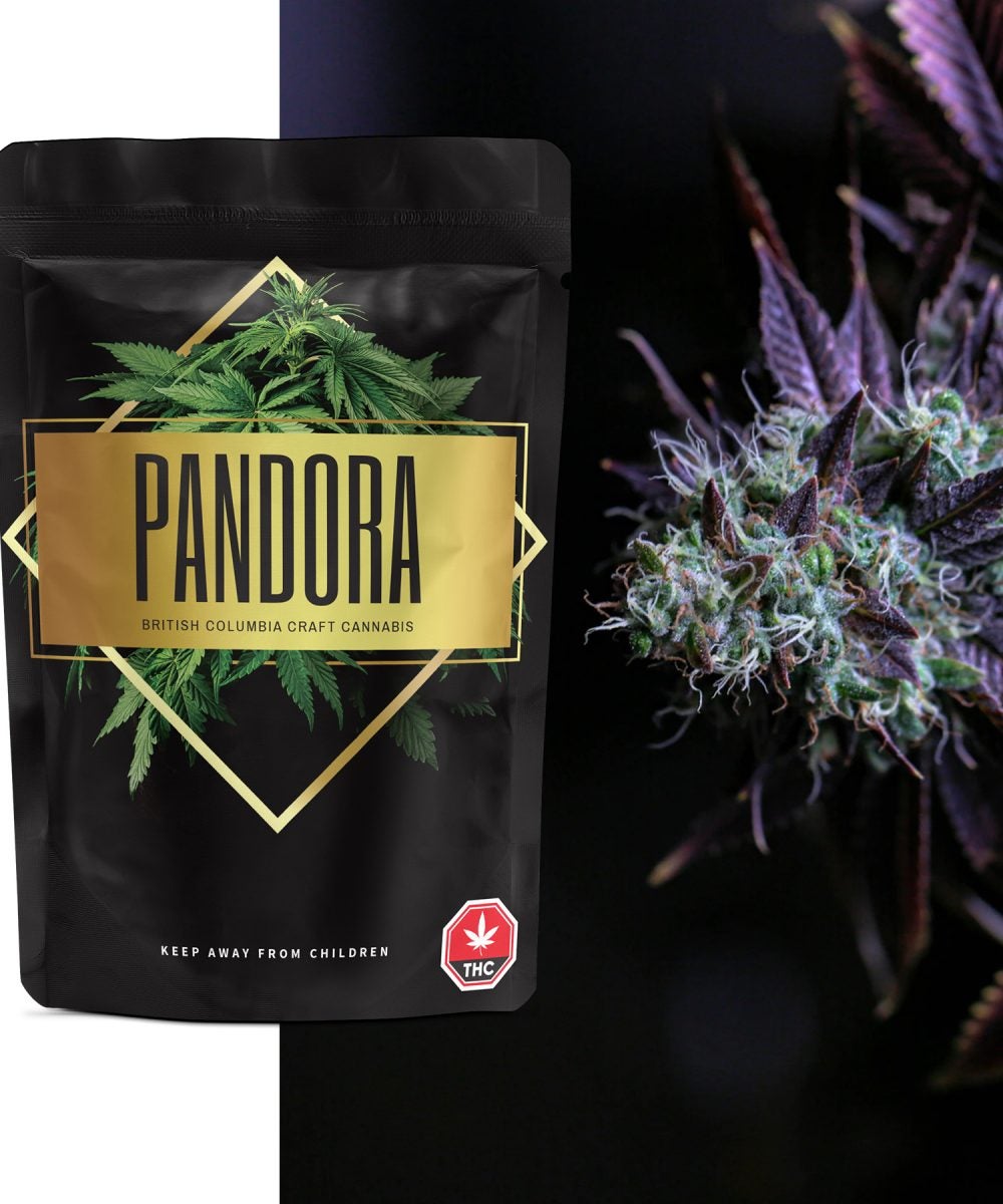 Pandora Cannabis: Premium OG Kush
